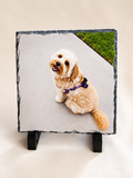 GINAREL Personalised Rock Photo Slate